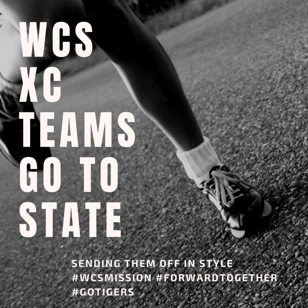 Girls & Boys XC go to state