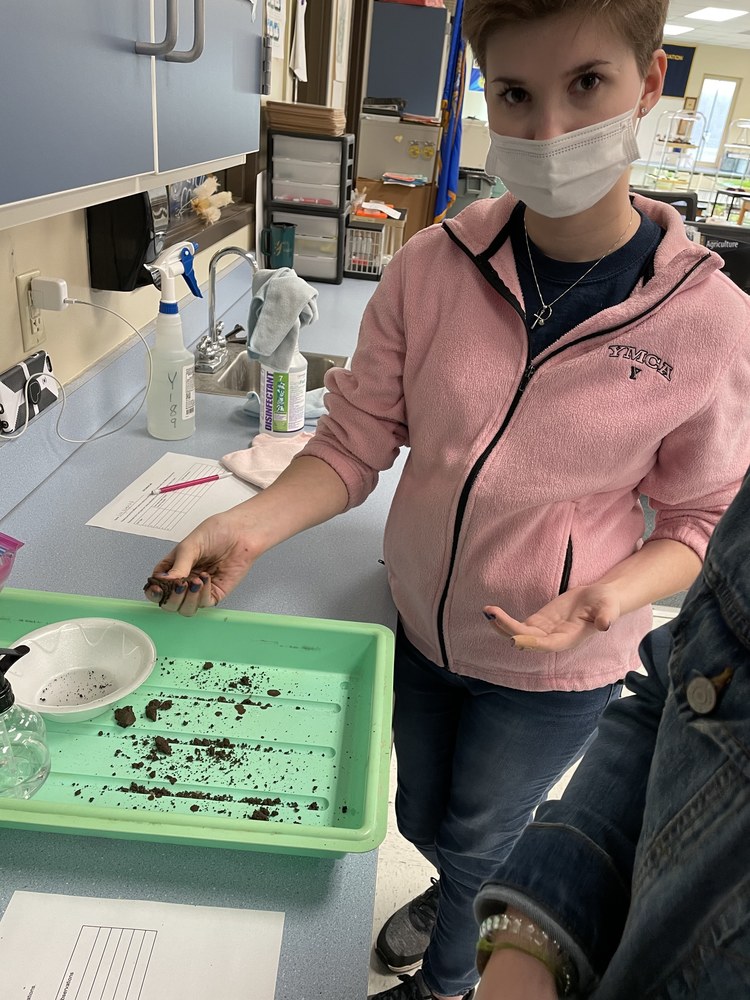 Plant & Soil Science