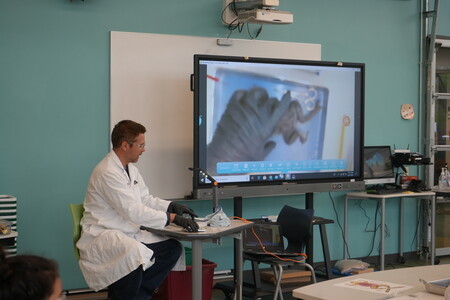 STEM program