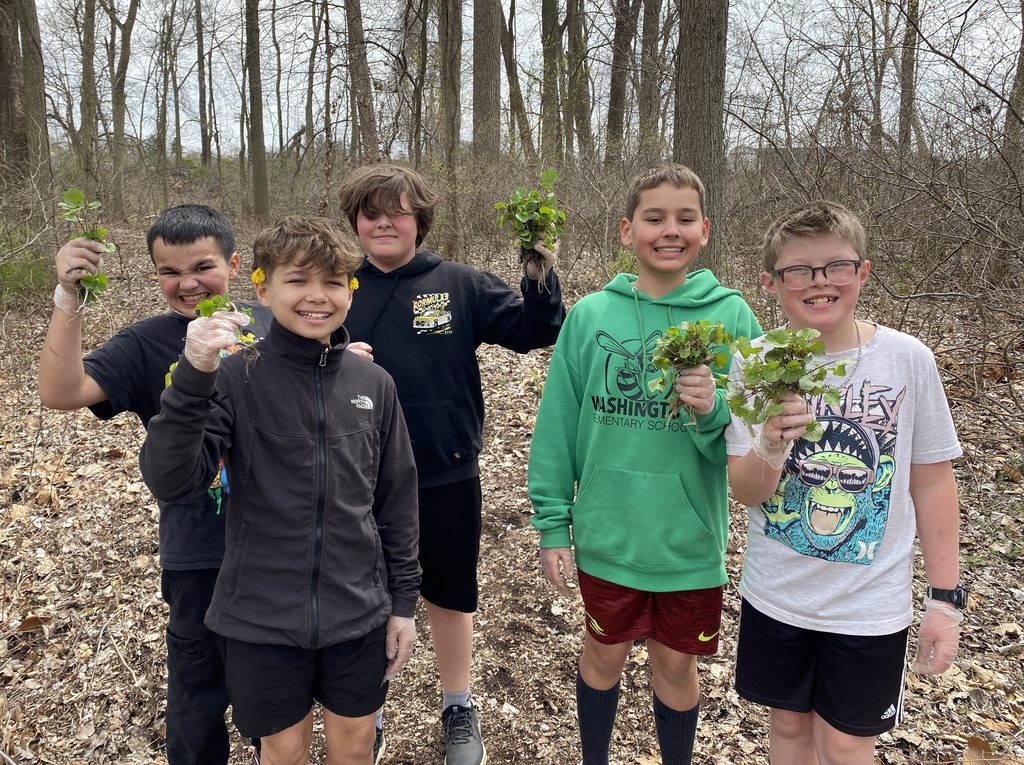 Invasive plants
