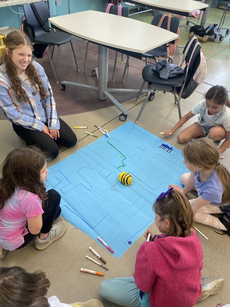 Beebots