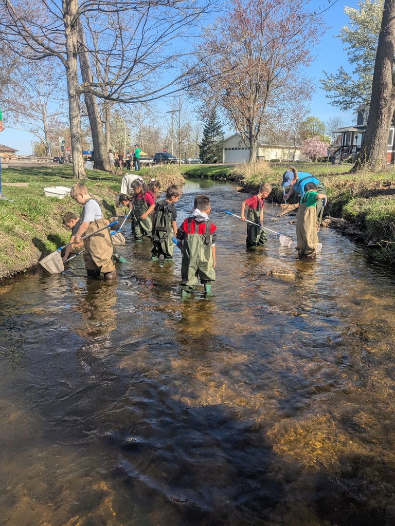 Looking for macroinvertebrates.