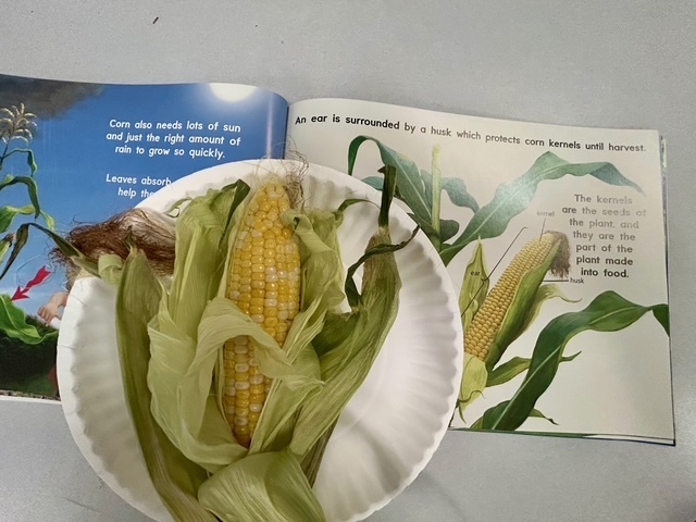 Corn and book