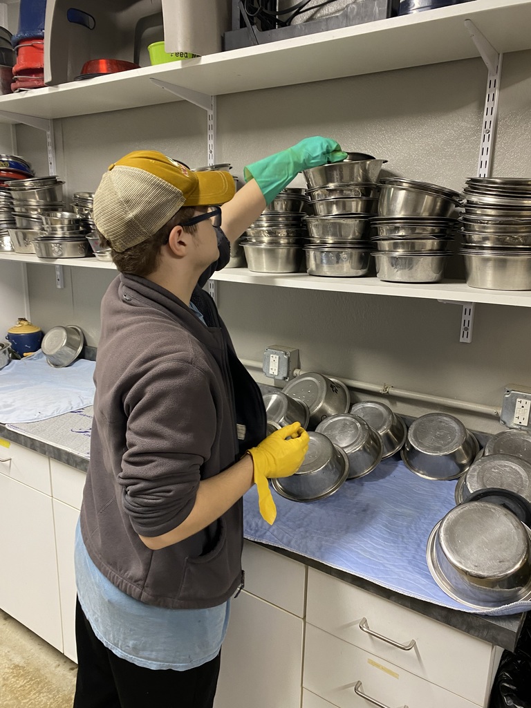 AWL volunteers