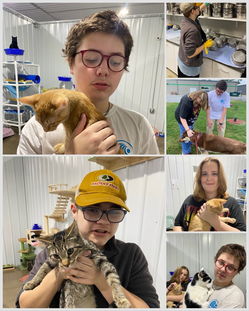 volunteers at AWL