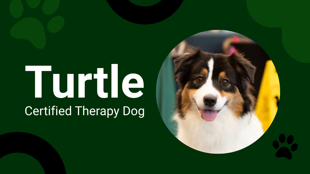 turtle therapy dog