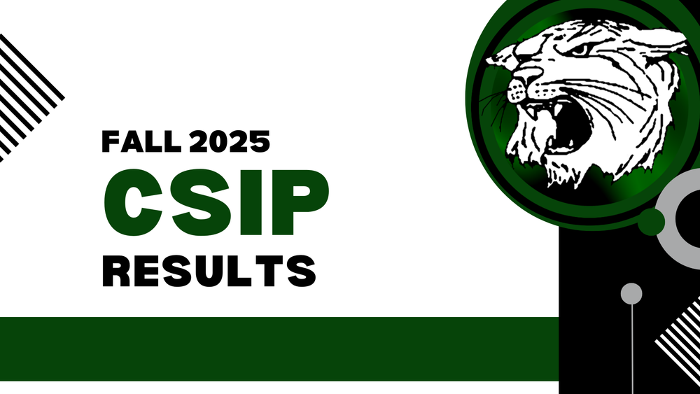 CSIP RESULTS FALL 2025