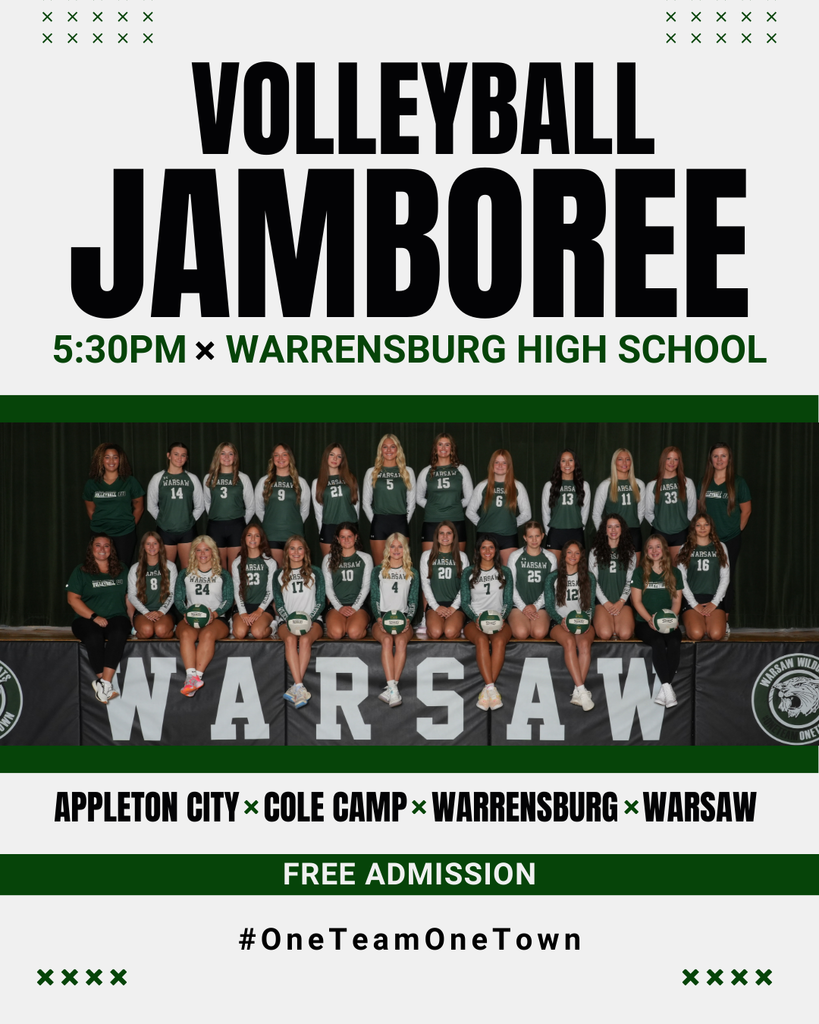 v-ball-jambo