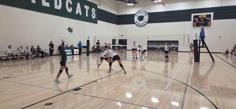 volleyball