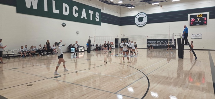 volleyball