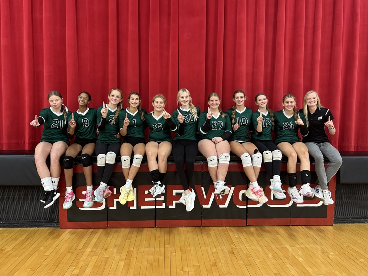 volleyball