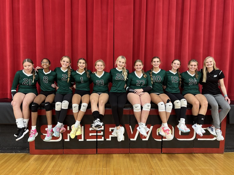 volleyball