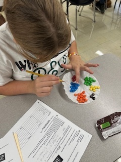 M&M Lab
