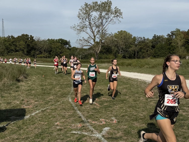 XC 