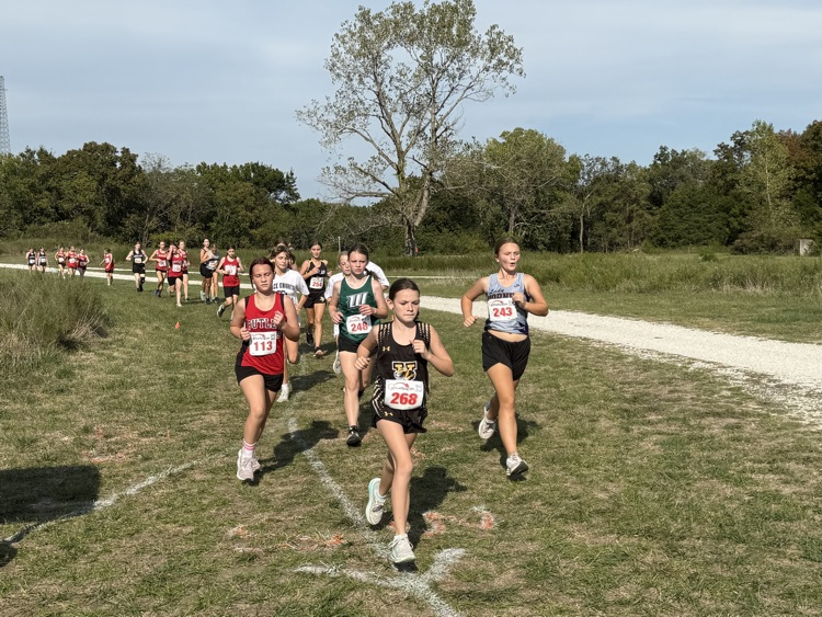 XC