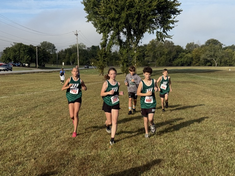 XC