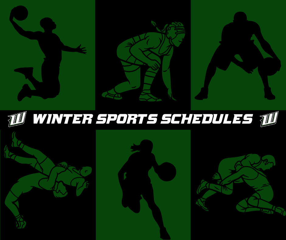 winter sports