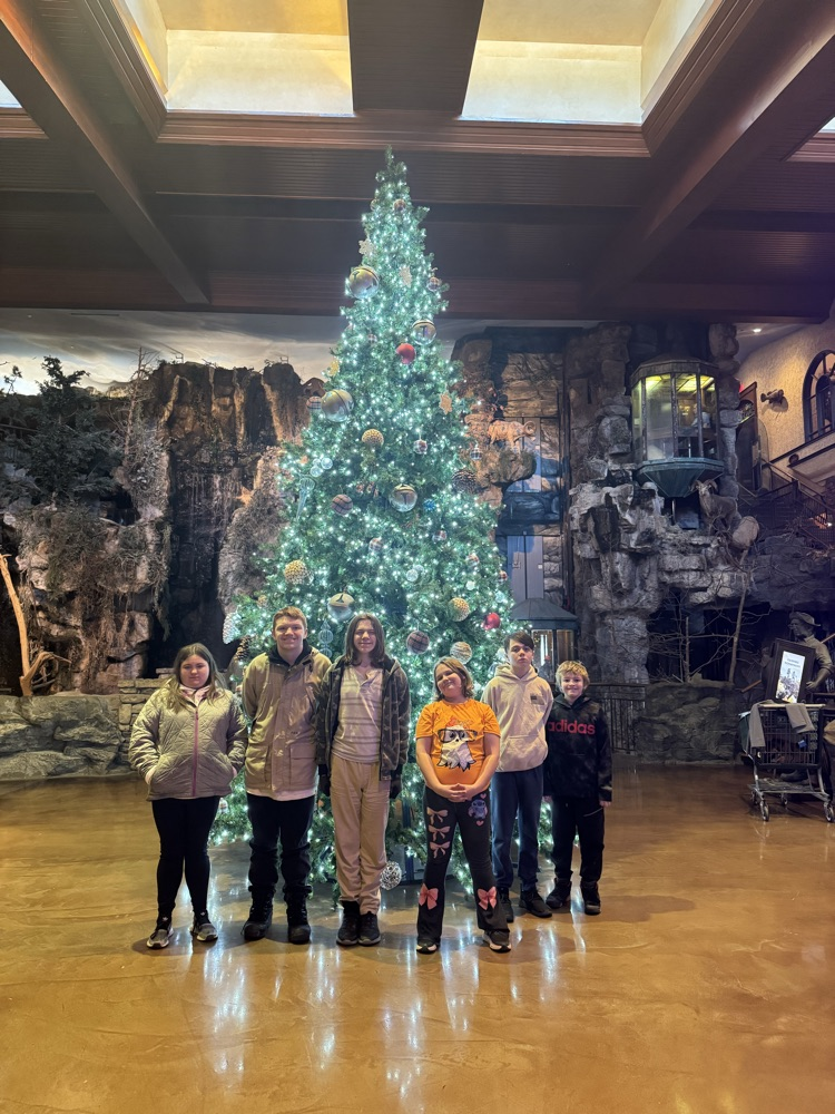 Christmas field trip