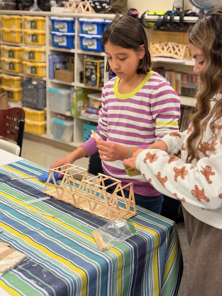 stem bridge learning