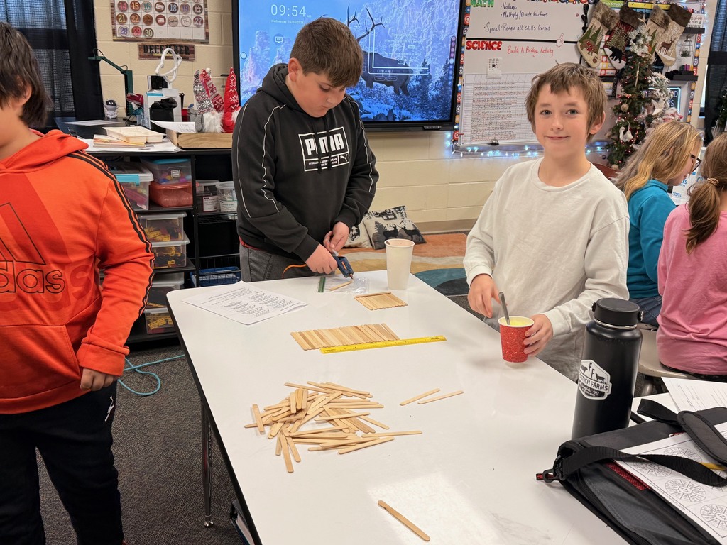 stem bridge learning