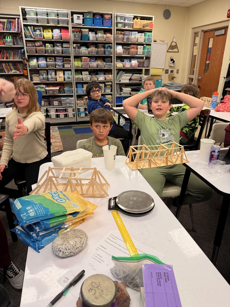 stem bridge learning