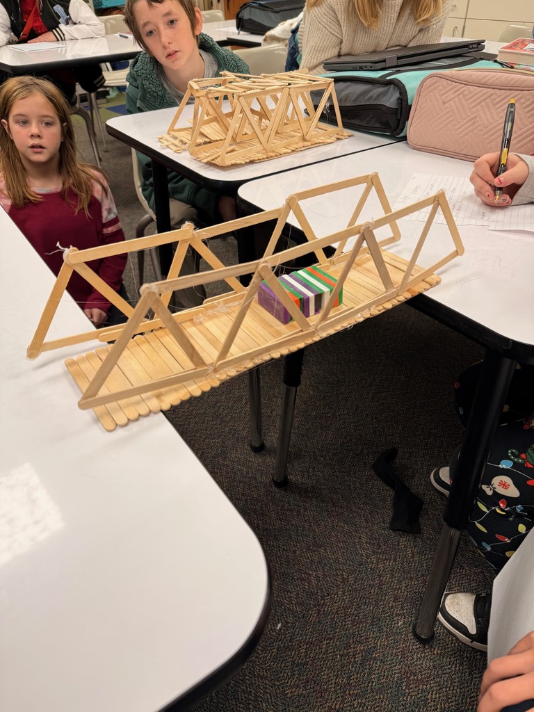 stem bridge learning