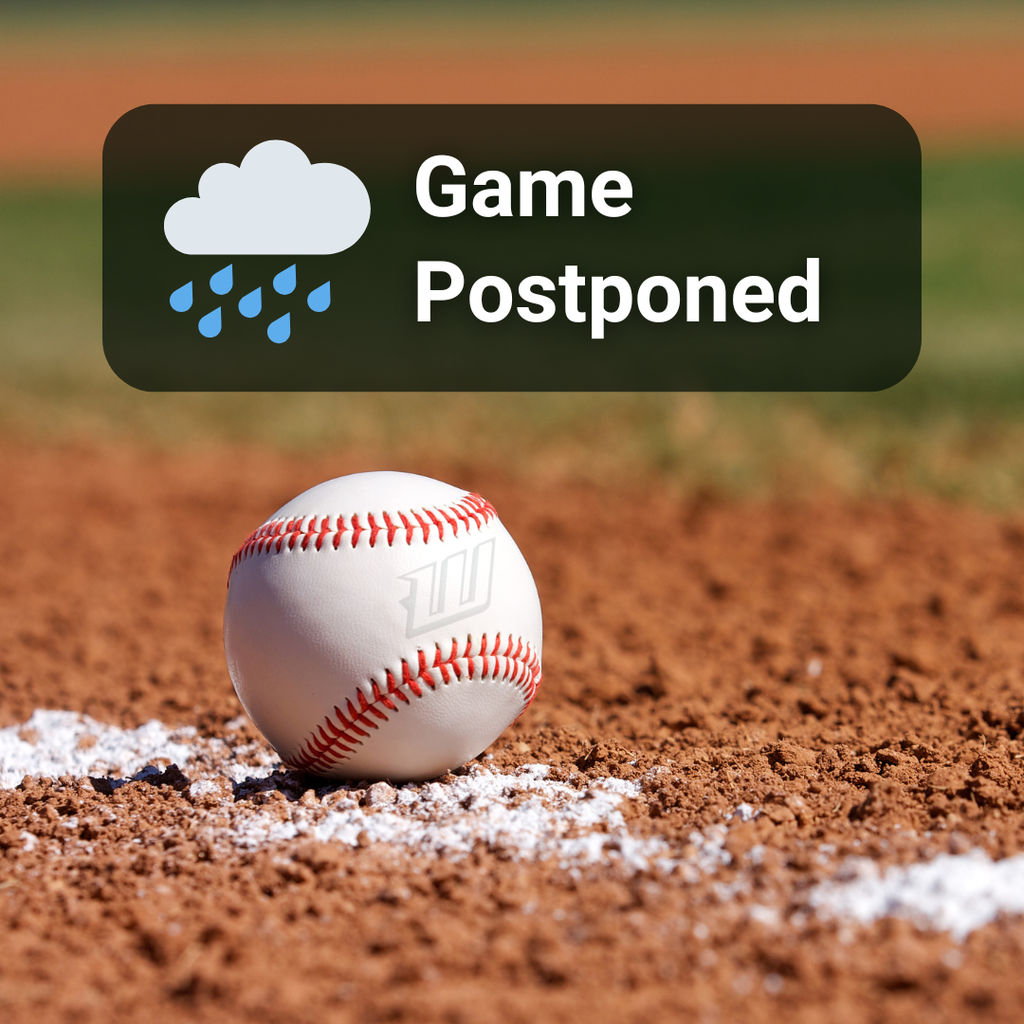 baseball game postponed