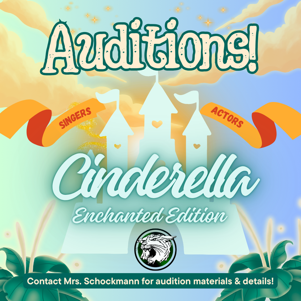 auditions cinderella enchanted edition flier