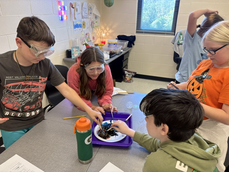 5th grade science