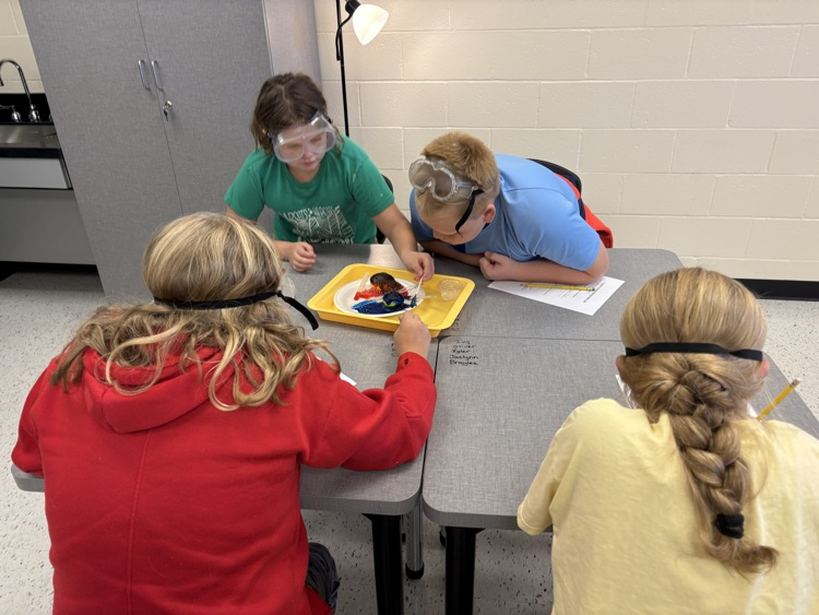 5th grade science