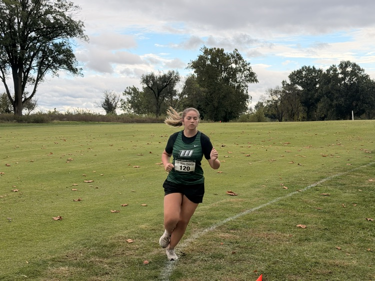XC