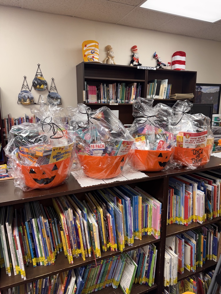 Book fair prizes