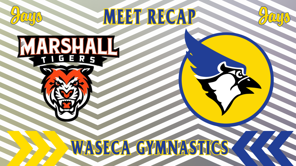 Gymnastics Meet Recap
