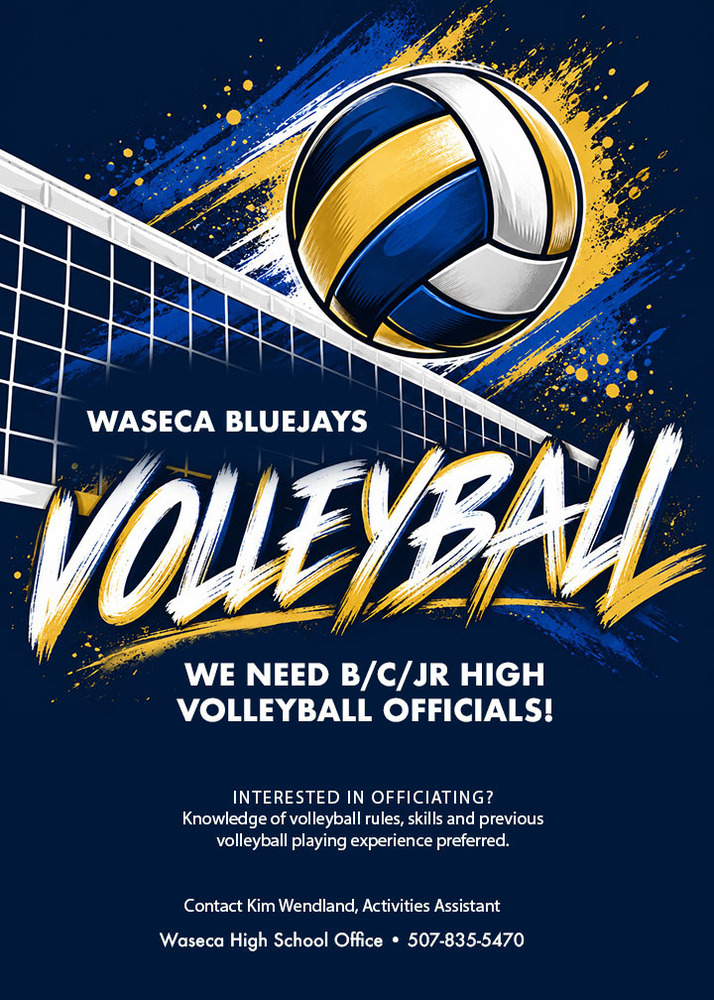 Volleyball Officals