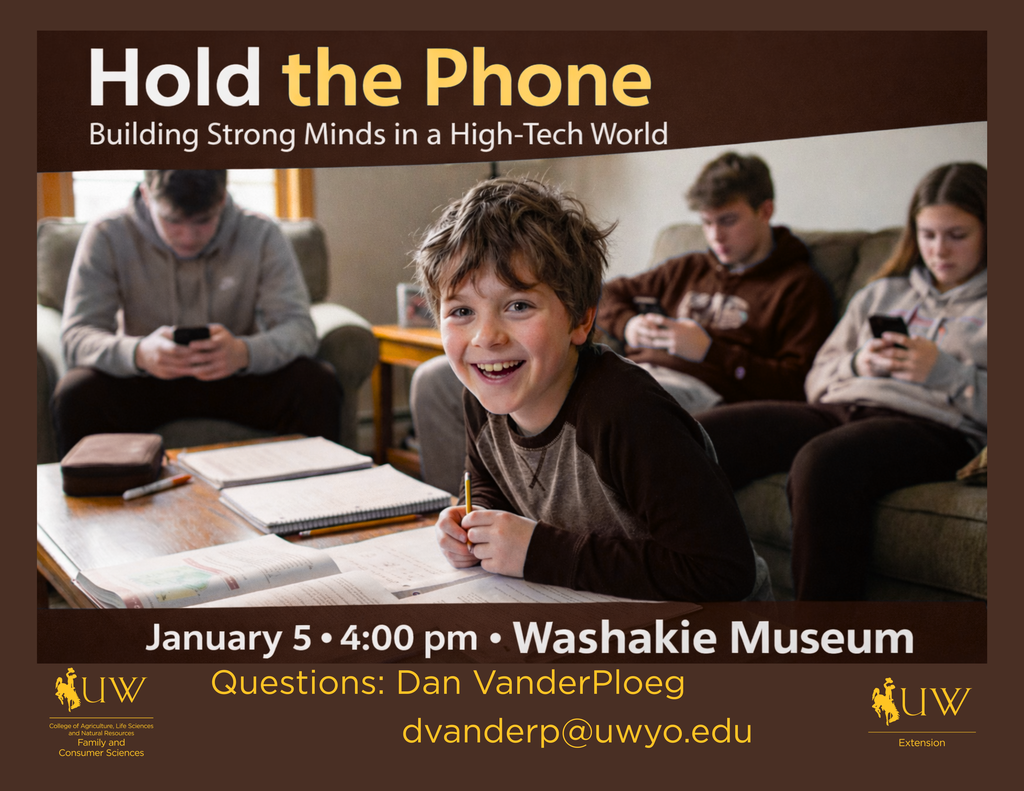 hold the phone flyer