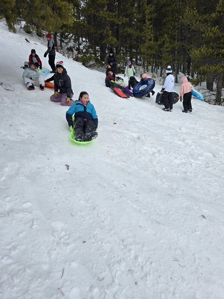 sledding