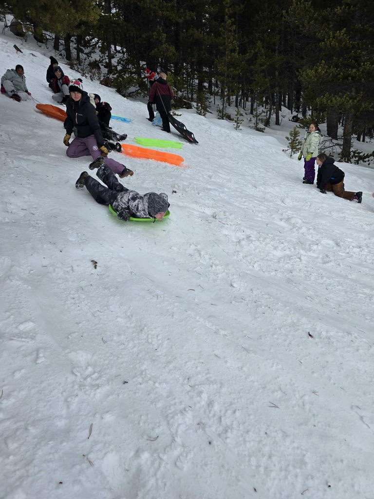 sledding