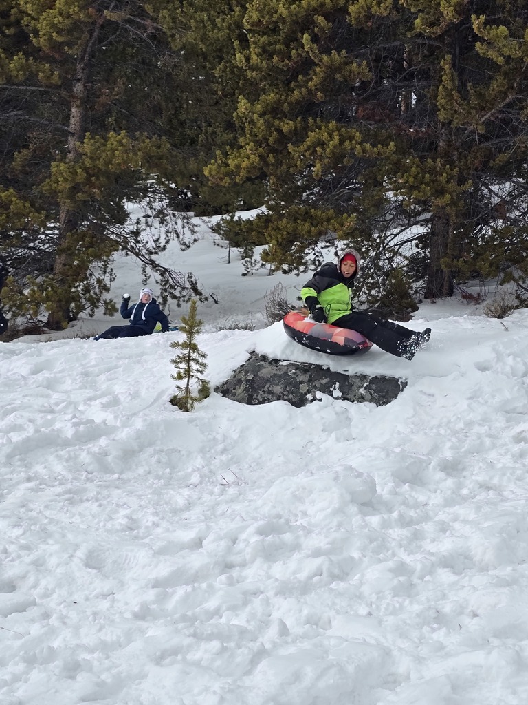 sledding