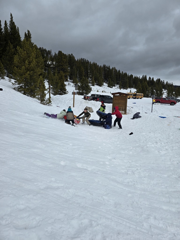 sledding