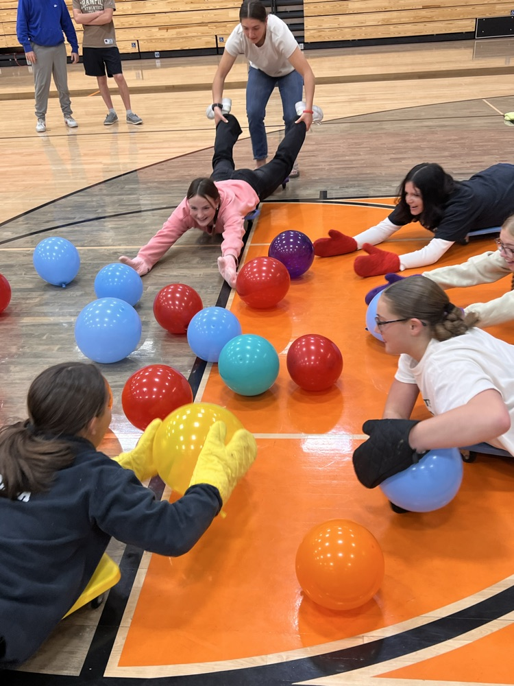 hungry hippos