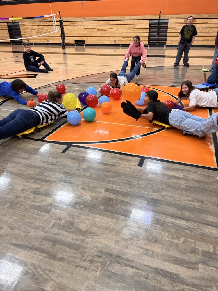 hungry hippos