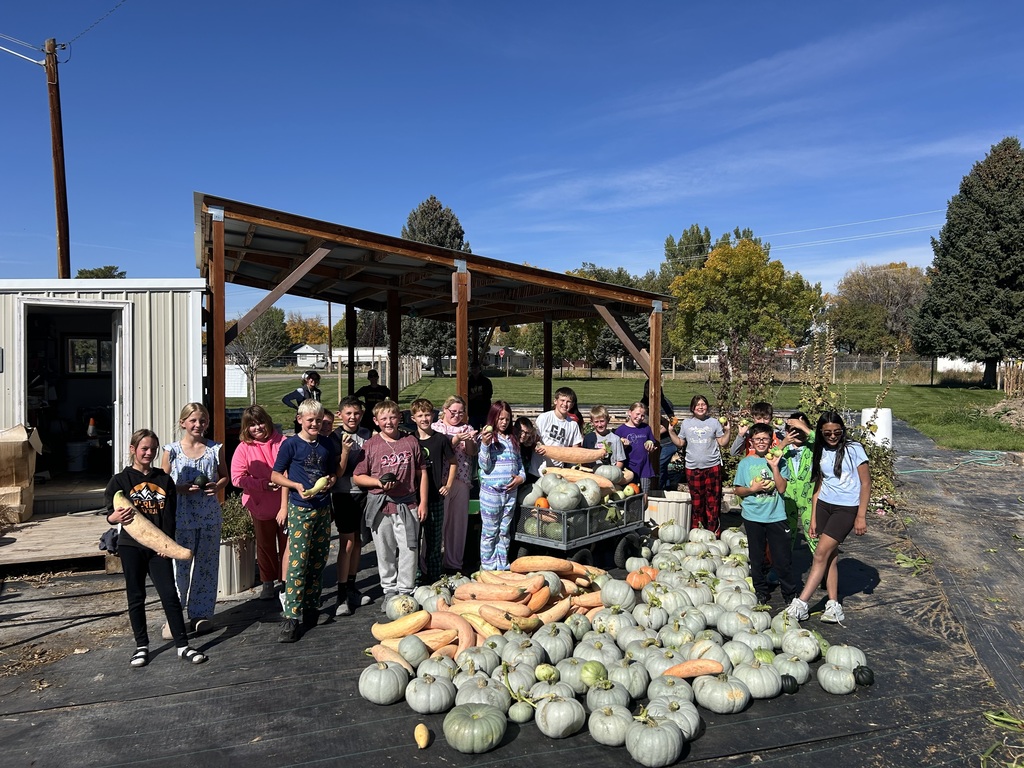 squash harvested