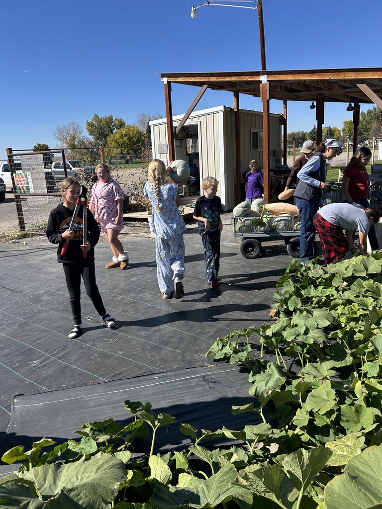 community garden