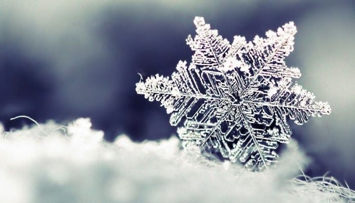 elementary concert tonight