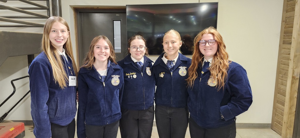 FFA Horse Judging