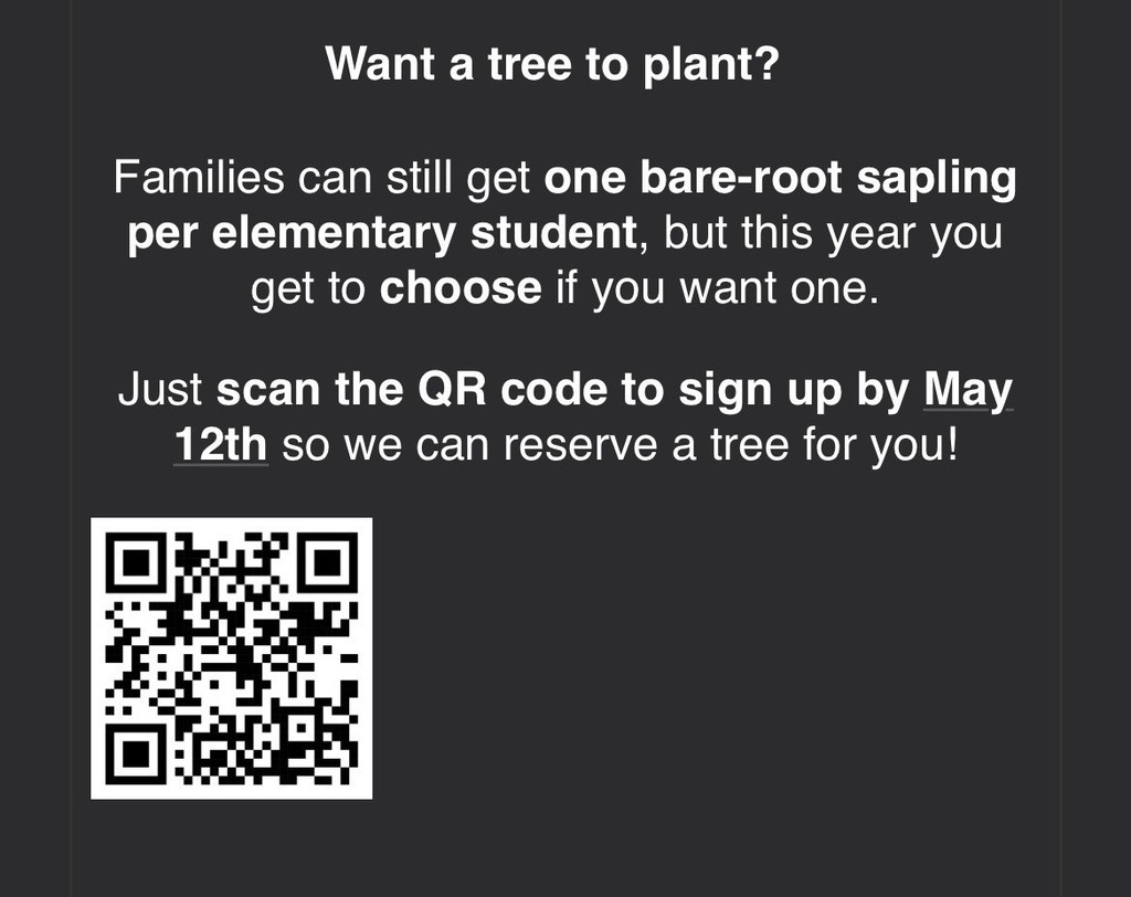 trees for elementary students