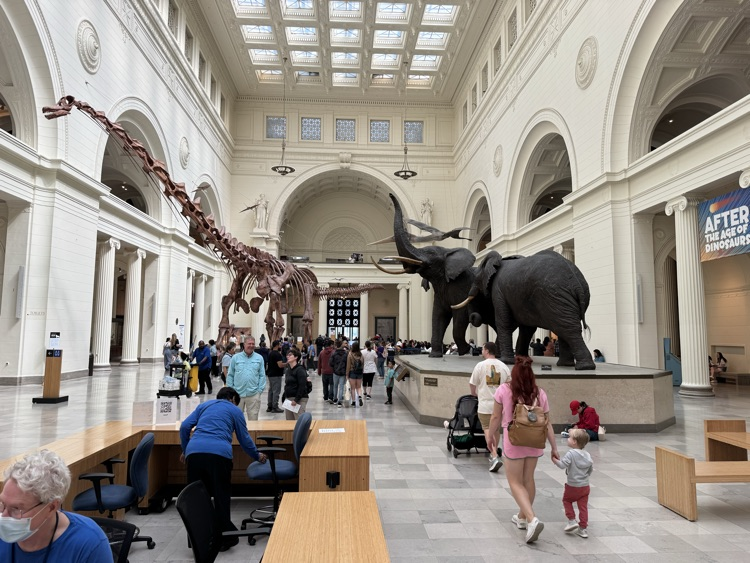 field museum
