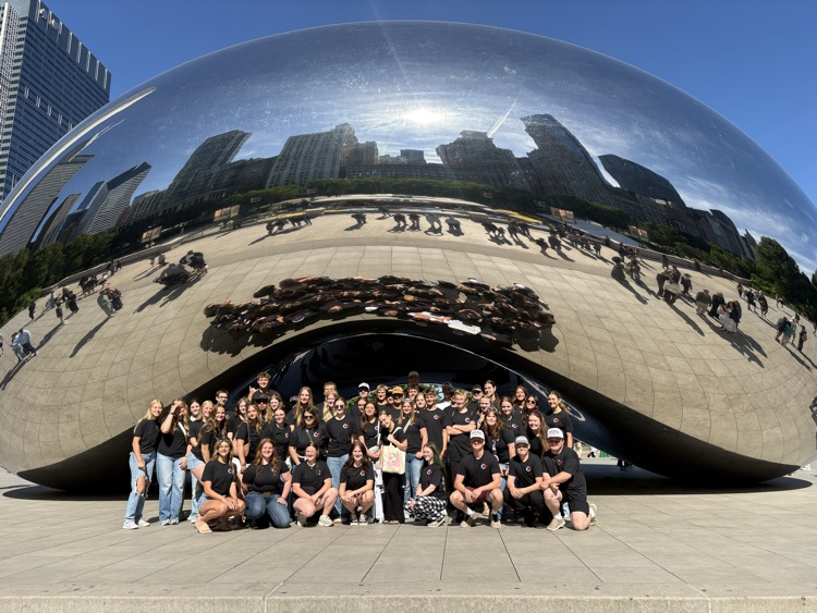 the bean