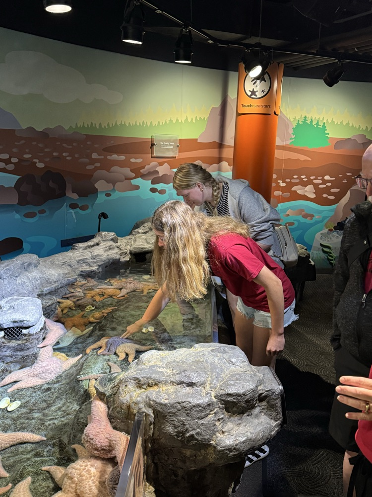 aquarium 