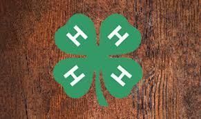 4-H Logo on a brown background